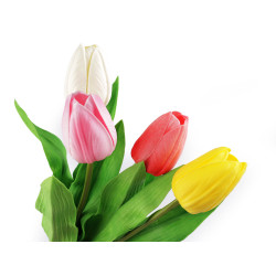 Umělý tulipán